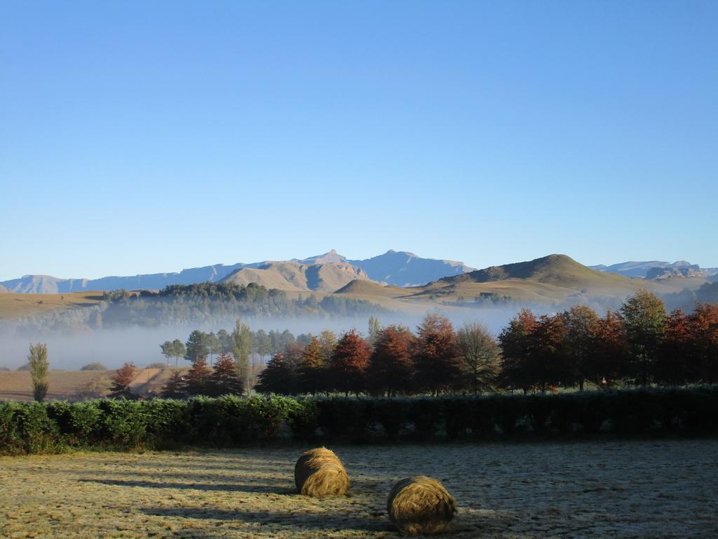 Pennygum Country Cottages Underberg Exterior photo