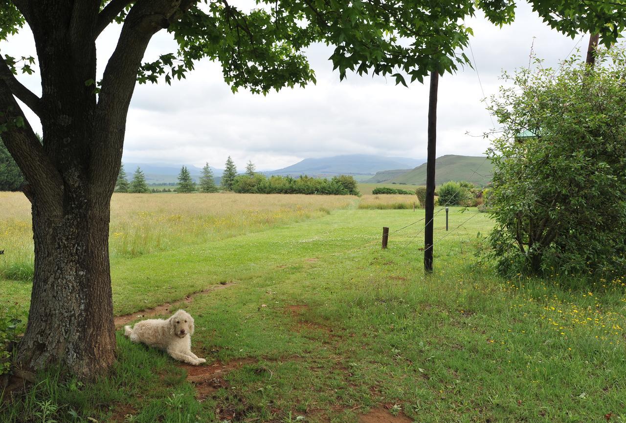 Pennygum Country Cottages Underberg Exterior photo